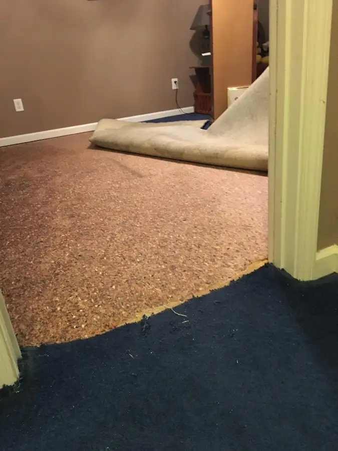 Carpet pad removal revealing water damage during Drying & Dehumidification in Badger