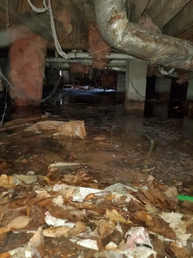 Crawl space flood assessment for Leak Detection & Repair in Badger