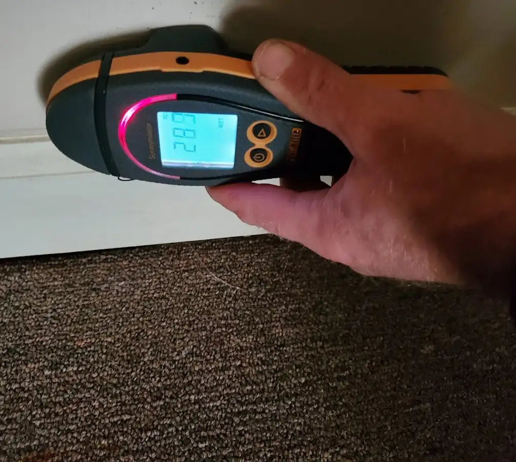 Moisture detection at baseboard during Mold Inspection & Testing in Badger
